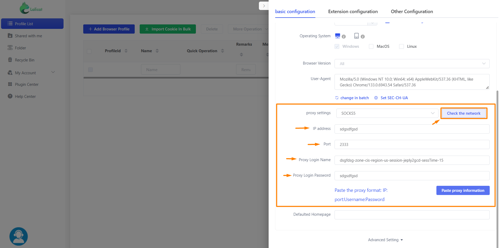 Entering proxy parameters
